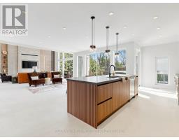 49 Fergus Avenue, Richmond Hill, ON L4E3C2 Photo 13
