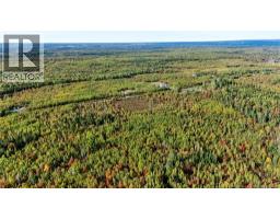 Lot Middlesex Road, Colpitts Settlement, NB E4J1G7 Photo 10