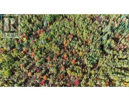 Lot Middlesex Road, Colpitts Settlement, NB E4J1G7 Photo 11