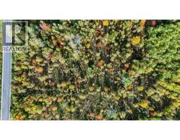 Lot Middlesex Road, Colpitts Settlement, NB E4J1G7 Photo 12