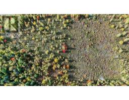Lot Middlesex Road, Colpitts Settlement, NB E4J1G7 Photo 13