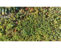 Lot Middlesex Road, Colpitts Settlement, NB E4J1G7 Photo 14