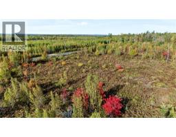 Lot Middlesex Road, Colpitts Settlement, NB E4J1G7 Photo 17