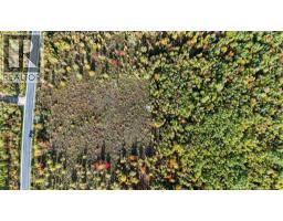 Lot Middlesex Road, Colpitts Settlement, NB E4J1G7 Photo 19