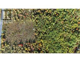 Lot Middlesex Road, Colpitts Settlement, NB E4J1G7 Photo 20