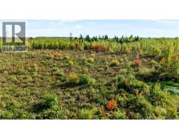 Lot Middlesex Road, Colpitts Settlement, NB E4J1G7 Photo 22