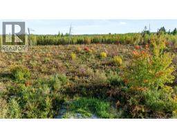 Lot Middlesex Road, Colpitts Settlement, NB E4J1G7 Photo 24