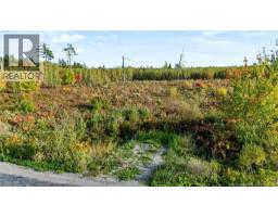 Lot Middlesex Road, Colpitts Settlement, NB E4J1G7 Photo 25