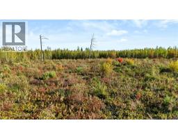 Lot Middlesex Road, Colpitts Settlement, NB E4J1G7 Photo 26