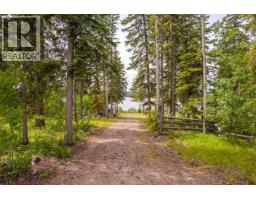 45419 Blackwater Road, Vanderhoof, BC V2N6P4 Photo 19