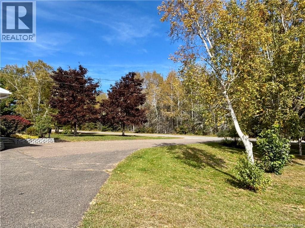 115 Egbert Street - 13