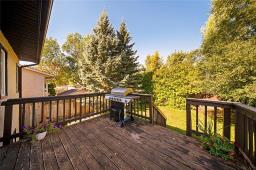 167 Goldthorpe Crescent, Winnipeg, MB R2N3E7 Photo 30