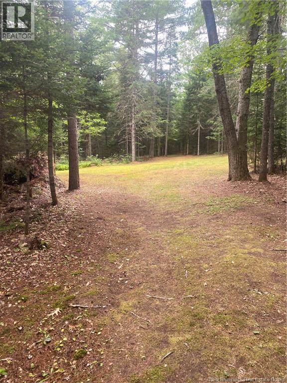 2086 Route 102 - Image 44