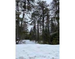 925 Hwy 593, Neebing, ON P7L0A2 Photo 9