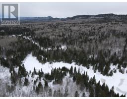 925 Hwy 593, Neebing, ON P7L0A2 Photo 10