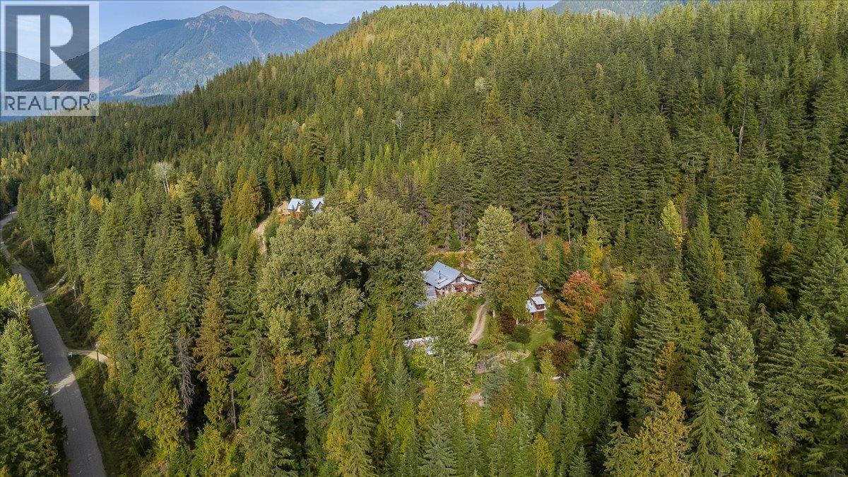 8494 Red Mountain Road - 87