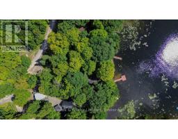 1115 Cook Road, Marmora And Lake, ON K0K2M0 Photo 48