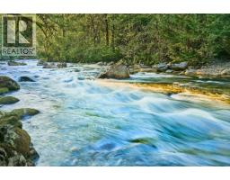 313 3000 Riverbend Drive, Coquitlam, BC V3C6R1 Photo 38