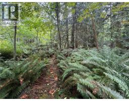 Lot 2 Willcox Rd, Saltair, BC V9G1Z6 Photo 6