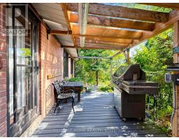 4 Grovetree Road, Toronto, ON M9V2Y2 Photo 6