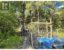 4 Grovetree Road, Toronto, ON M9V2Y2 Photo 9