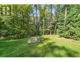 327 Echo Ridge Road, Kearney, ON P0A1J0 Photo 37