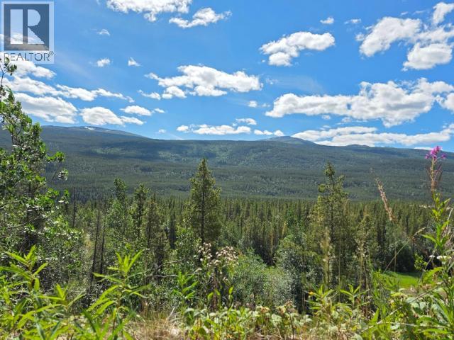 68645 ALASKA HIGHWAY - Image 11