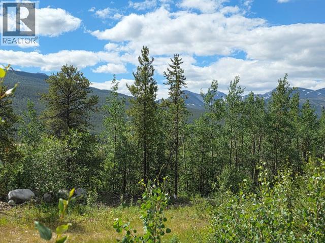 68645 ALASKA HIGHWAY - 10