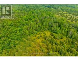 786 Richardson Road, Montague, ON K0G1N0 Photo 45