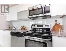 315 - 55 East Liberty Street, Toronto, ON M6K3P9 Photo 10