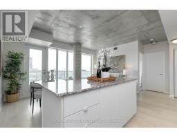 315 - 55 East Liberty Street, Toronto, ON M6K3P9 Photo 13