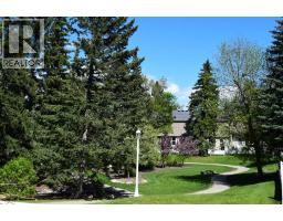 386 Brae Glen Crescent SW - photo 33
