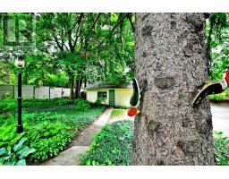 135 Elgin Street N, Cambridge, ON N1R5H6 Photo 42
