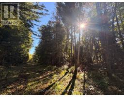63 Bunny Trail, Mcdougall, ON P2A2W7 Photo 10