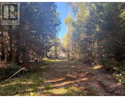 63 Bunny Trail, Mcdougall, ON P2A2W7 Photo 12