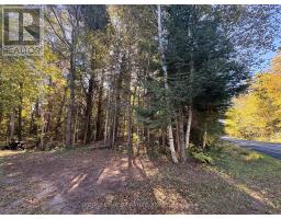 63 Bunny Trail, Mcdougall, ON P2A2W7 Photo 7