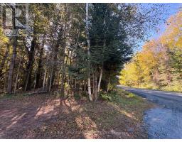 63 Bunny Trail, Mcdougall, ON P2A2W7 Photo 8