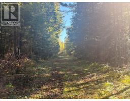 63 Bunny Trail, Mcdougall, ON P2A2W7 Photo 9