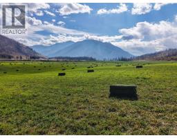 2000/1960 Botanie Creek Road, Lytton, BC V0K1Z0 Photo 17