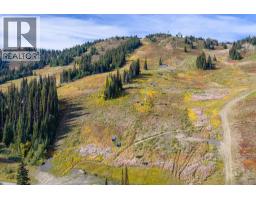150 Silver Lode Lane Unit# 233/234, Silver Star, BC V1B3M1 Photo 36