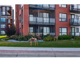 875 University Drive Unit# 203, Kamloops, BC V2C0J8 Photo 44