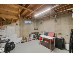 18525 86a Av Nw, Edmonton, AB T5T1J5 Photo 57