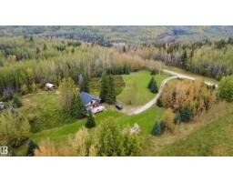 49102 Rr 54, Rural Brazeau County, AB T0C0P0 Photo 55