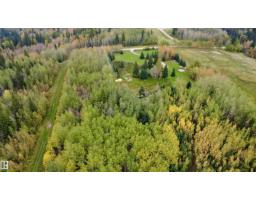 49102 Rr 54, Rural Brazeau County, AB T0C0P0 Photo 57