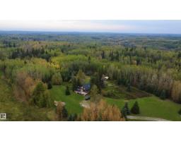 49102 Rr 54, Rural Brazeau County, AB T0C0P0 Photo 59