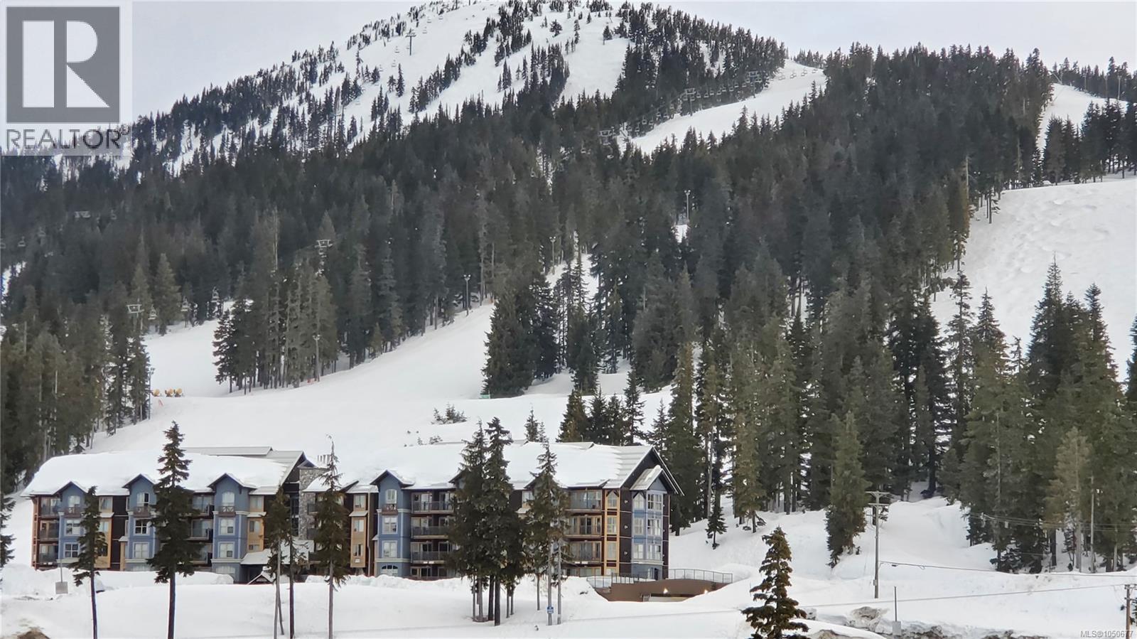 #113 1280 Alpine Rd - 33