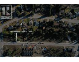 1039 Williams Gate Lane, Revelstoke, BC V0E2S1 Photo 8