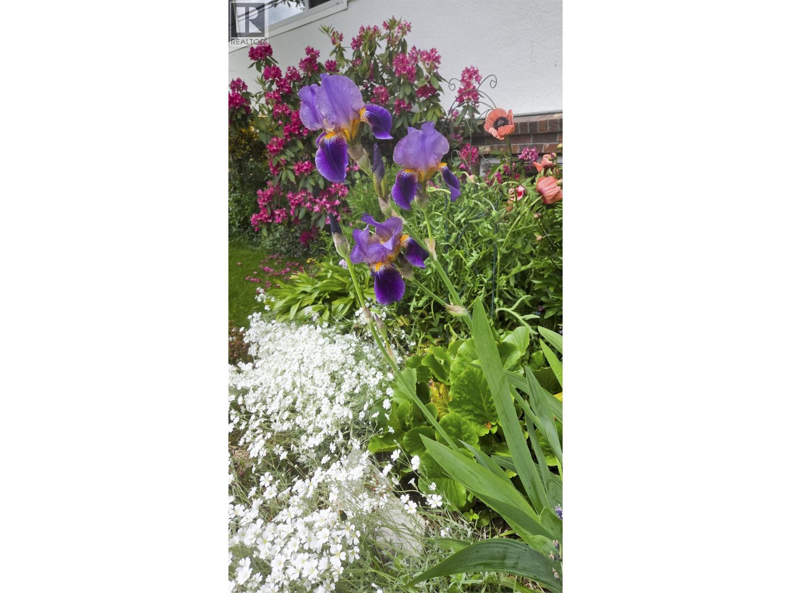 1516 ALBATROSS AVENUE - Image 29