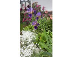 1516 Albatross Avenue, Kitimat, BC V8C1R1 Photo 29