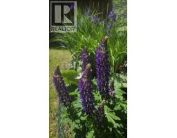1516 Albatross Avenue, Kitimat, BC V8C1R1 Photo 25